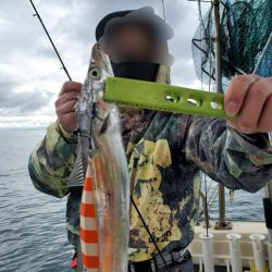 武士(SAMURAI) 釣果