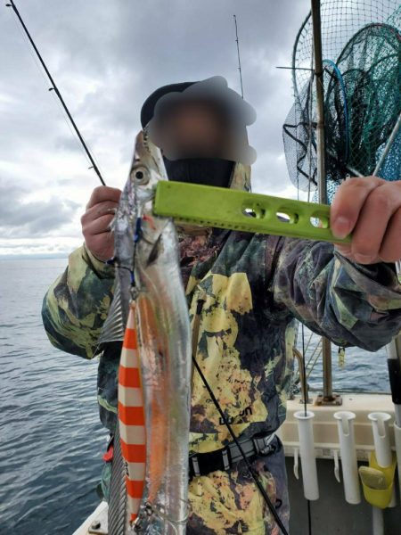 武士(SAMURAI) 釣果