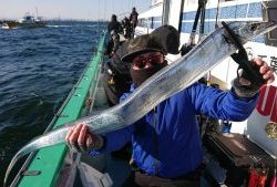 KONAYAーMARU(こなや丸) 釣果