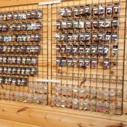 フィッシングレイクたかみや 釣果