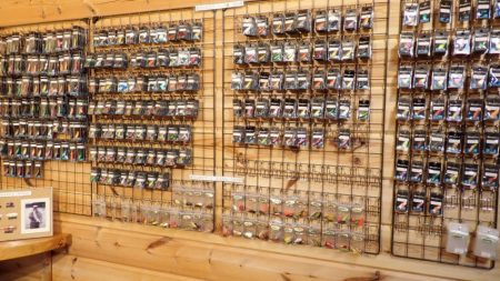 フィッシングレイクたかみや 釣果