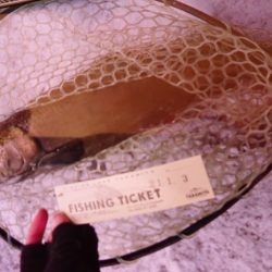 フィッシングレイクたかみや 釣果