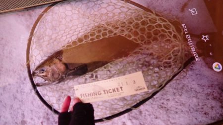 フィッシングレイクたかみや 釣果