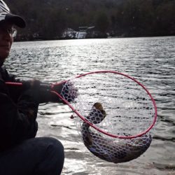 フィッシングレイクたかみや 釣果