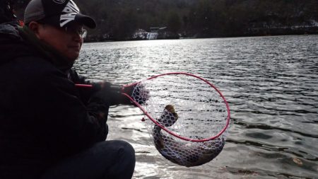 フィッシングレイクたかみや 釣果