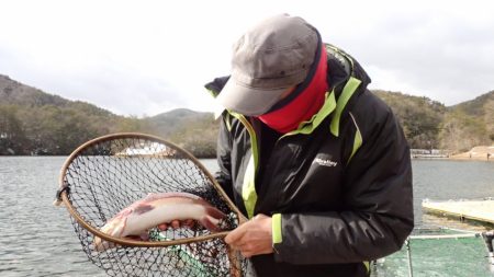 フィッシングレイクたかみや 釣果