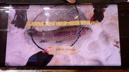 フィッシングレイクたかみや 釣果