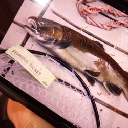フィッシングレイクたかみや 釣果
