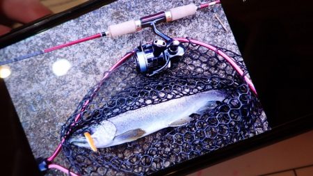 フィッシングレイクたかみや 釣果