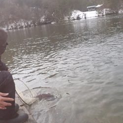 フィッシングレイクたかみや 釣果