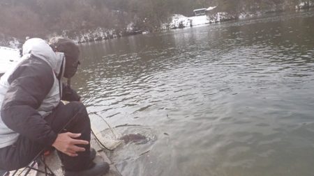 フィッシングレイクたかみや 釣果