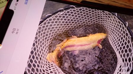 フィッシングレイクたかみや 釣果