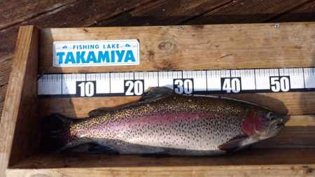 フィッシングレイクたかみや 釣果
