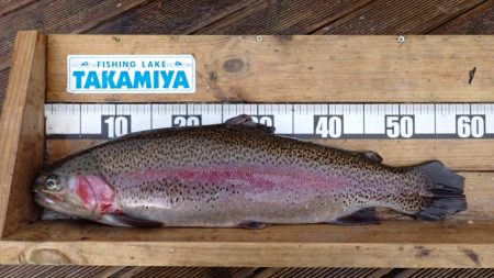 フィッシングレイクたかみや 釣果