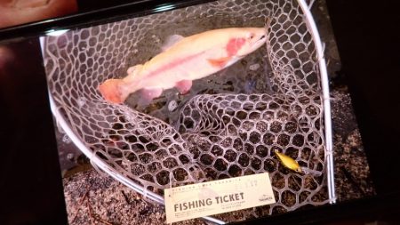 フィッシングレイクたかみや 釣果