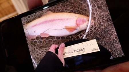 フィッシングレイクたかみや 釣果