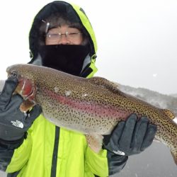 フィッシングレイクたかみや 釣果