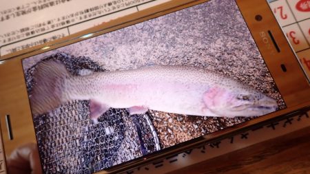 フィッシングレイクたかみや 釣果