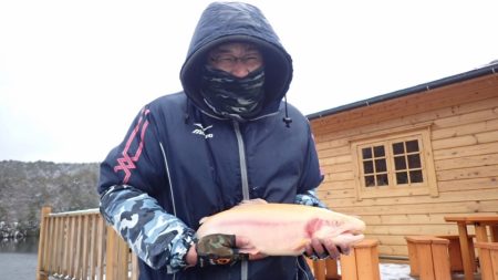 フィッシングレイクたかみや 釣果