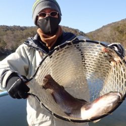 フィッシングレイクたかみや 釣果