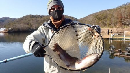 フィッシングレイクたかみや 釣果