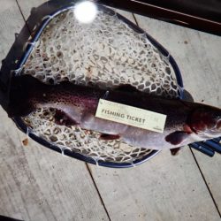 フィッシングレイクたかみや 釣果