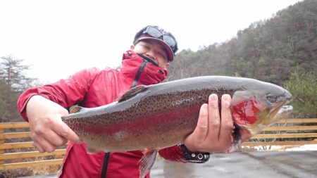 フィッシングレイクたかみや 釣果