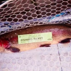 フィッシングレイクたかみや 釣果