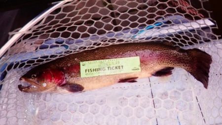 フィッシングレイクたかみや 釣果