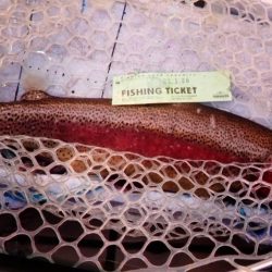 フィッシングレイクたかみや 釣果