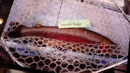 フィッシングレイクたかみや 釣果