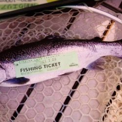 フィッシングレイクたかみや 釣果