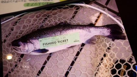 フィッシングレイクたかみや 釣果