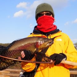 フィッシングレイクたかみや 釣果