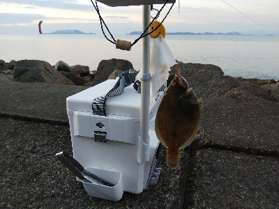 苅屋海岸の投げ釣り