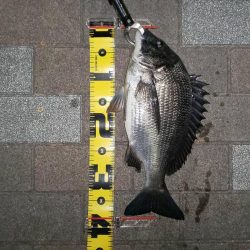 朝練　～さざなみ公園～