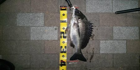 朝練　～さざなみ公園～