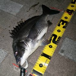 朝練　～さざなみ公園～