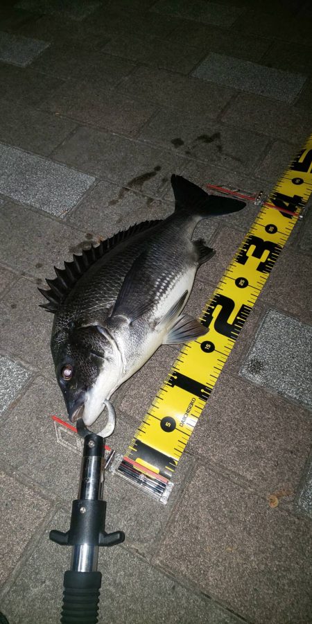 朝練　～さざなみ公園～