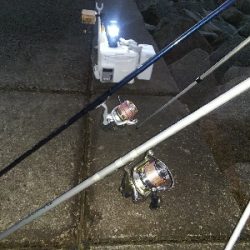 苅屋海岸の投げ釣り