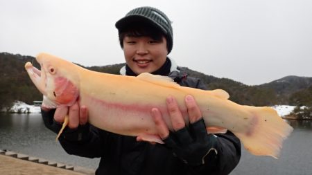 フィッシングレイクたかみや 釣果