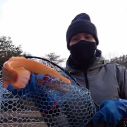 フィッシングレイクたかみや 釣果