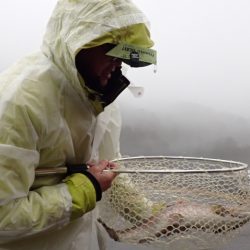 フィッシングレイクたかみや 釣果