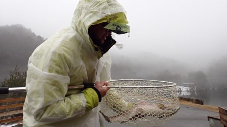 フィッシングレイクたかみや 釣果