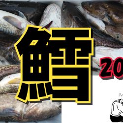 釣り船一番星 釣果