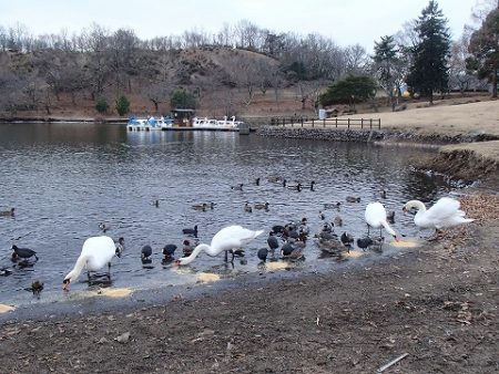 志高湖フィッシング 釣果