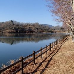 志高湖フィッシング 釣果