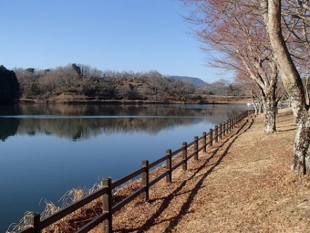 志高湖フィッシング 釣果