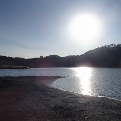 志高湖フィッシング 釣果