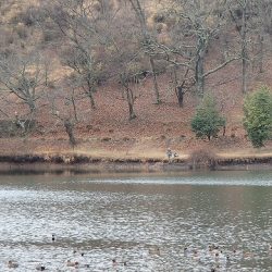 志高湖フィッシング 釣果